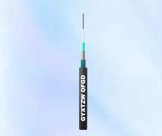 1604285990683928.jpg 2.JPG